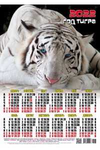 22008 Бенгалец - 2022 (Листовой настенный календарь формат А3)