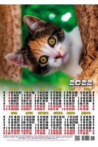 22016 Партизан - 2022 (Листовой настенный календарь формат А3)