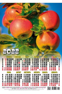 22022 Яблоки - 2022 (Листовой настенный календарь формат А3)