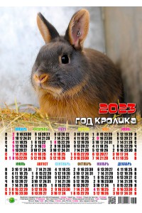 23008 Серёга - 2023 (Листовой настенный календарь, формат А3)