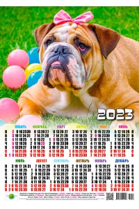 23018 Булька и шарики - 2023 (Листовой настенный календарь, формат А3)