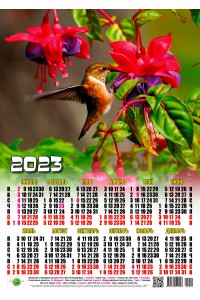 23020 Колибри - 2023 (Листовой настенный календарь, формат А3)