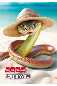 200-2025 04 Круголетъ. Карманный календарь. Шляпа на пляже. (Год Змеи).