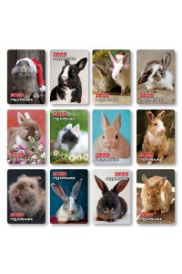 Набор №2 - (12 видов по 10 шт) - Карманные календари. Символ года (Кролик) - 2023
