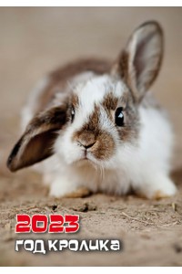 200-202320 Карманный календарь. Крохотуля. Символ Года (Кролик).