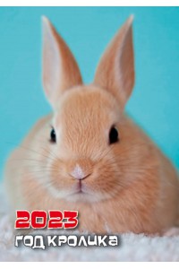 200-202323 Карманный календарь. Агент 007. Символ Года (Кролик).