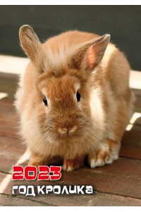 200-202327 Карманный календарь. Рыжий гном. Символ Года (Кролик).