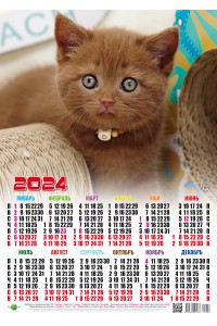 01002 Шоколадный - 2024 (Листовой календарь, формат А2)