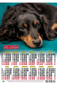 01004 Кикс - 2025 (Листовой календарь, формат А2)