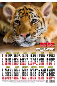 00005 Тигренок - 2022 (Листовой настенный календарь формат А2)